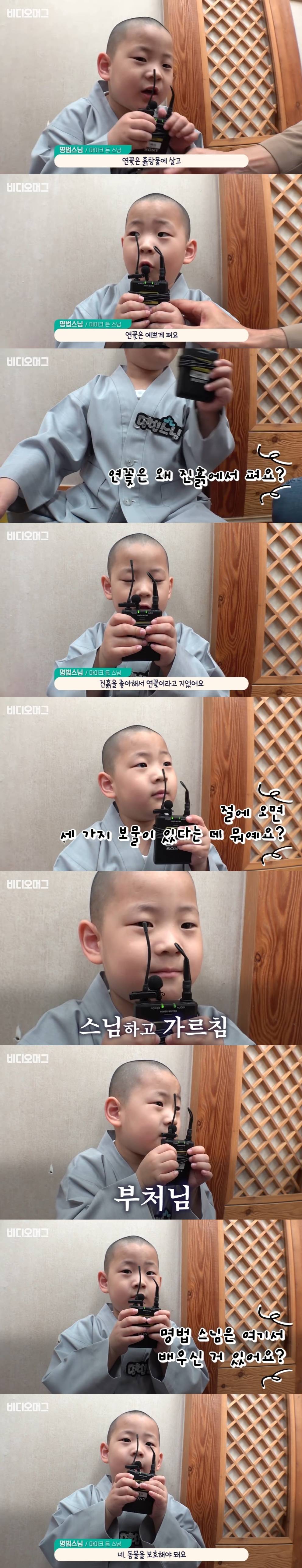 동자승이 절에서 배운 가르침 | 인스티즈