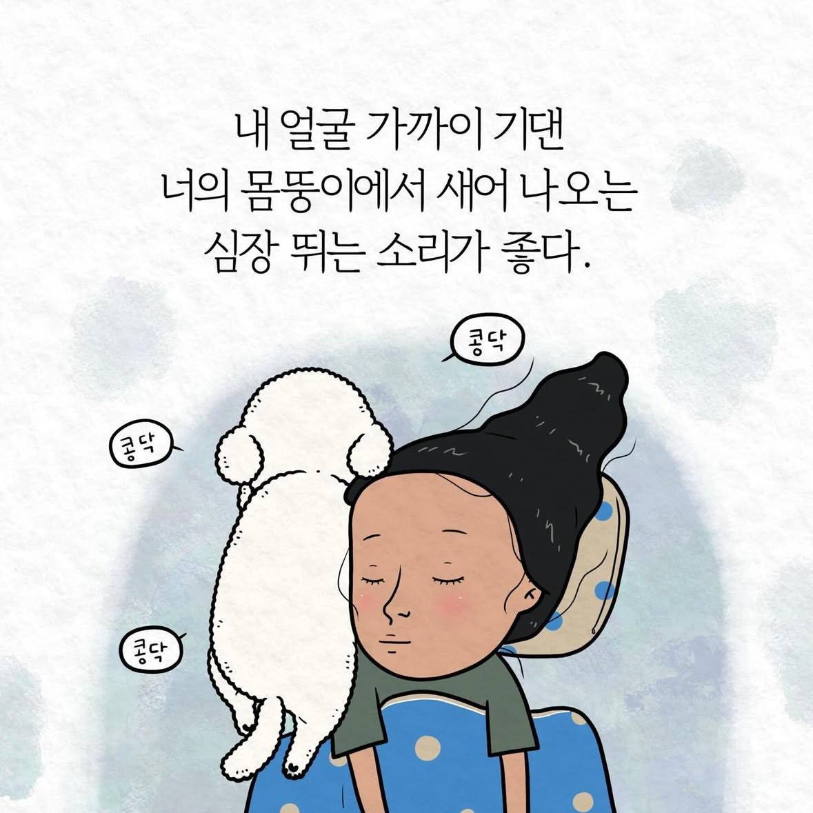 이런 거 좋아하는 사람.jpg | 인스티즈