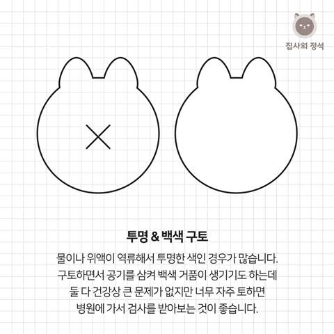 고양이 관상, 젤리손금, 창밖보는 이유, 눈키스, 꼬리 의미 등 재미로보는 고영 tmi | 인스티즈