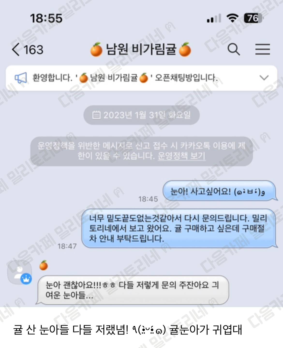 의료게 귤주문했는데 눈아들 진짜 귀엽다 | 인스티즈