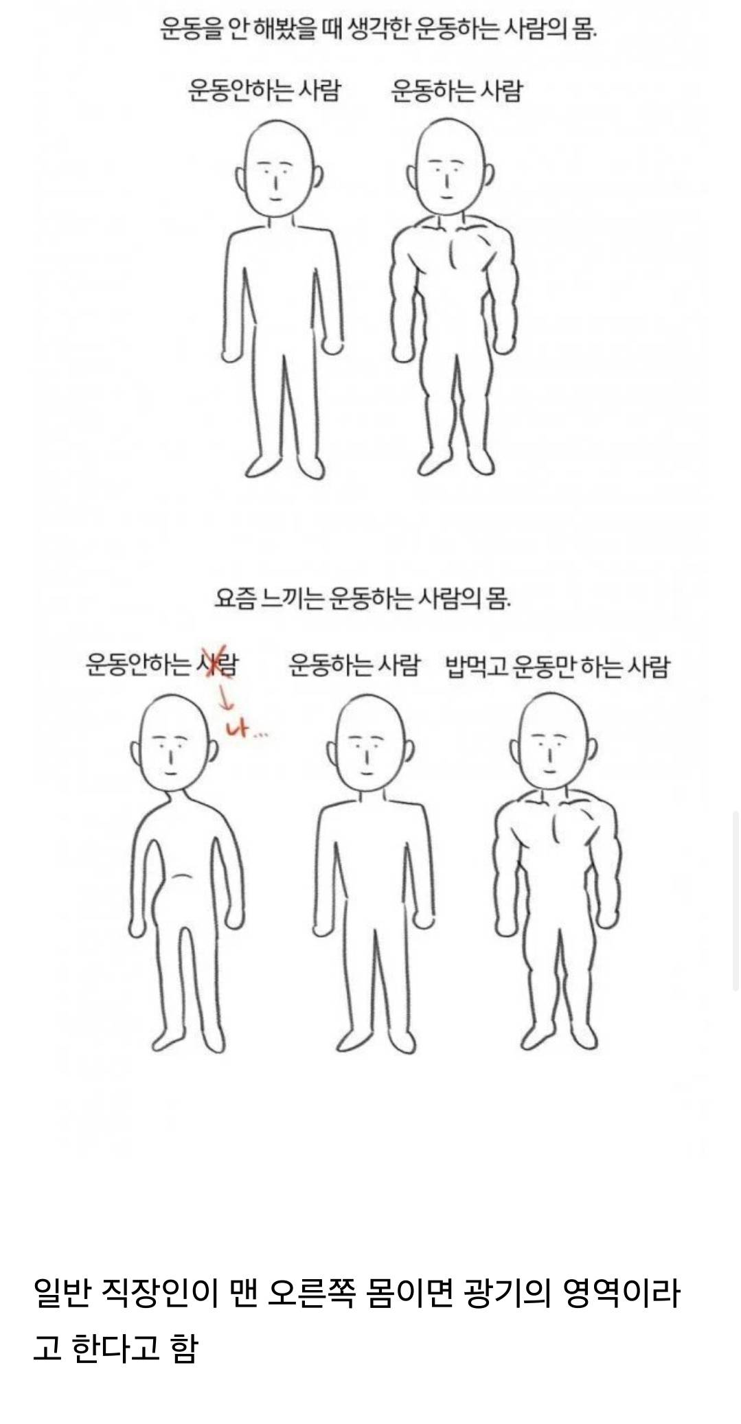 운동 시작하고 나면 알게된다는 '운동하는 사람들의 몸'.jpg | 인스티즈