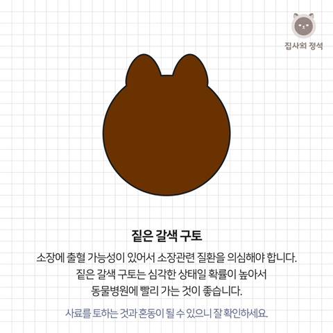 고양이 관상, 젤리손금, 창밖보는 이유, 눈키스, 꼬리 의미 등 재미로보는 고영 tmi | 인스티즈