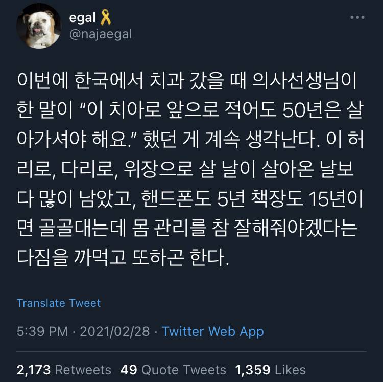 성실하게 살되 적당히 도망치자.twt | 인스티즈