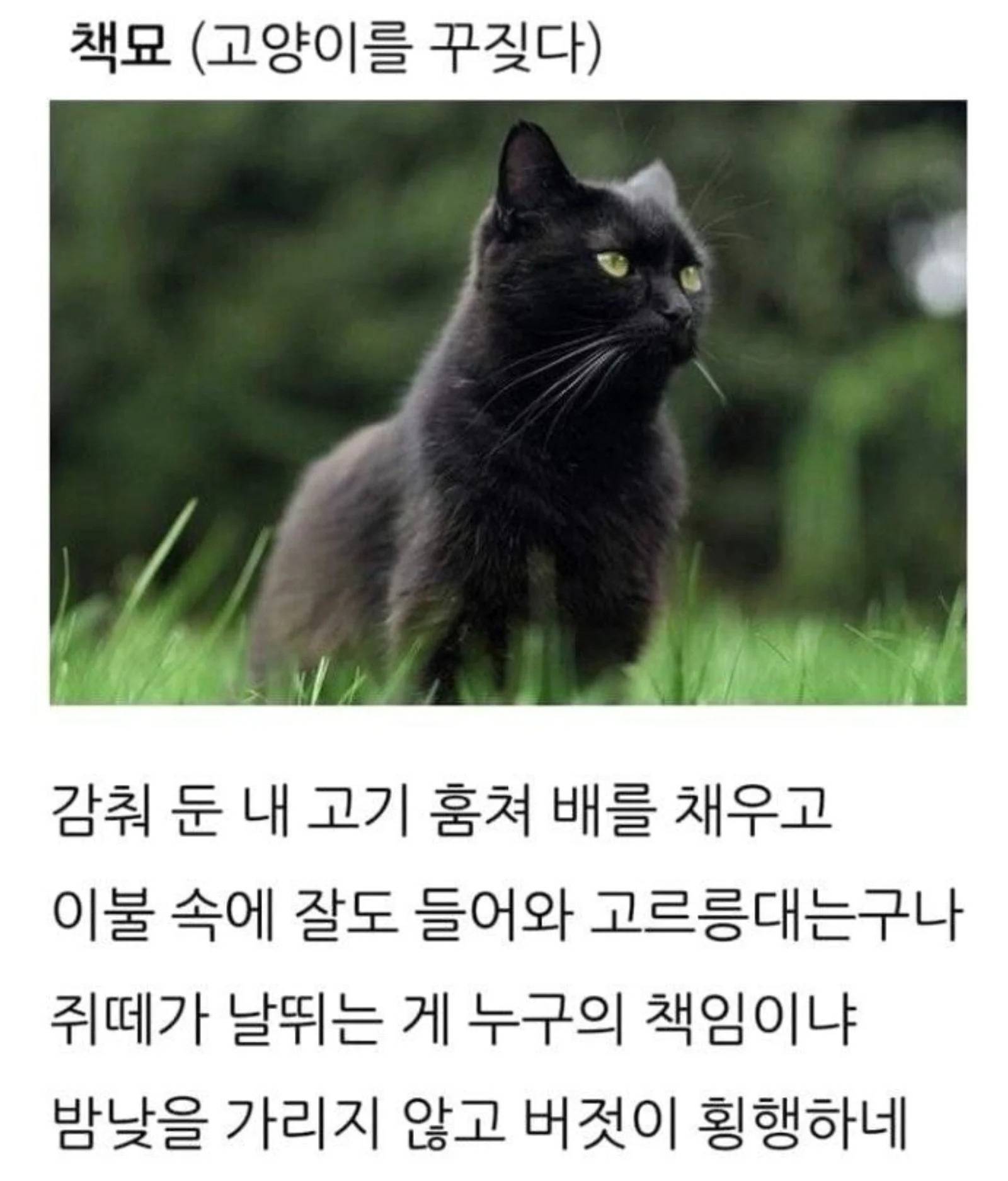 조상님들도 빡치지만 참을성 있게 대한 동물 | 인스티즈