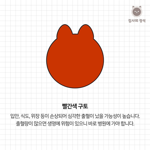 고양이 관상, 젤리손금, 창밖보는 이유, 눈키스, 꼬리 의미 등 재미로보는 고영 tmi | 인스티즈