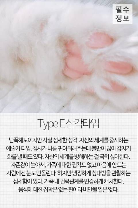 고양이 관상, 젤리손금, 창밖보는 이유, 눈키스, 꼬리 의미 등 재미로보는 고영 tmi | 인스티즈