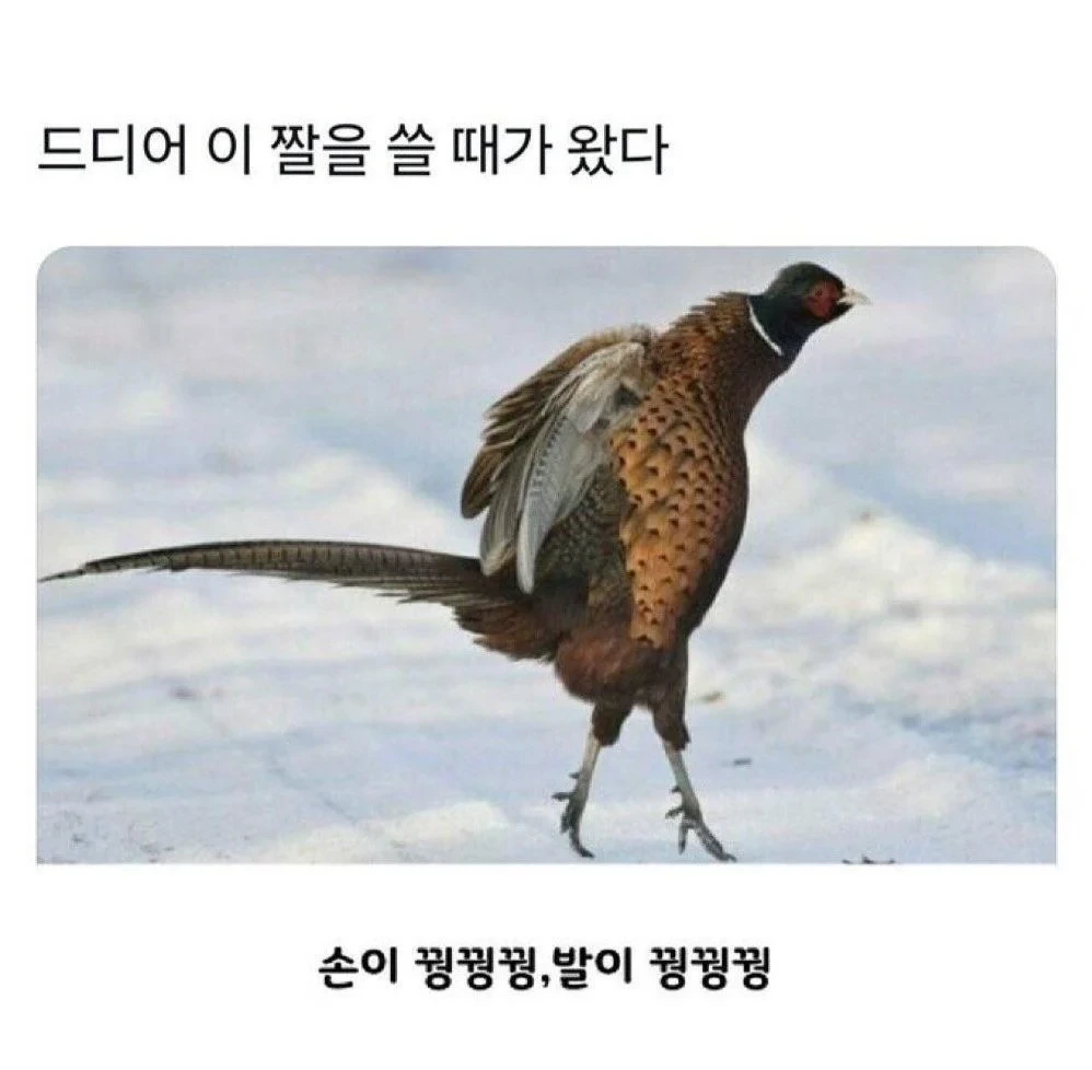 오늘 날씨 근황.jpg | 인스티즈