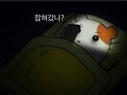 전국민 습관 | 인스티즈