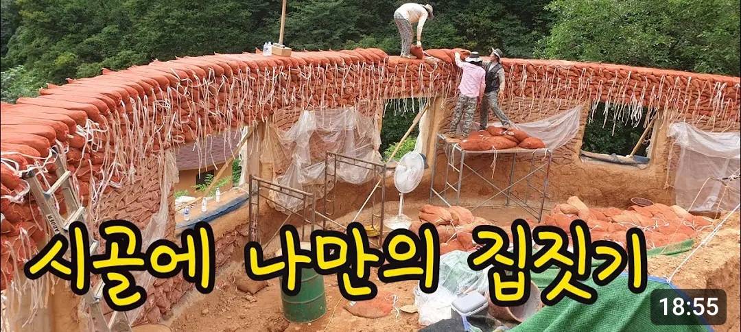 상세분석) 고릴라에게 개기면 안되는 이유 | 인스티즈