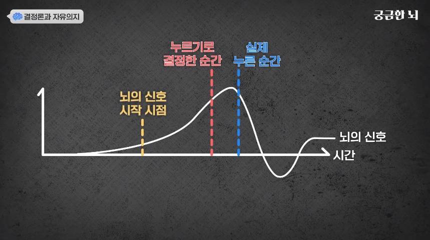 인간의 자유의지가 없다는 걸 증명한 충격적인 실험.jpg | 인스티즈