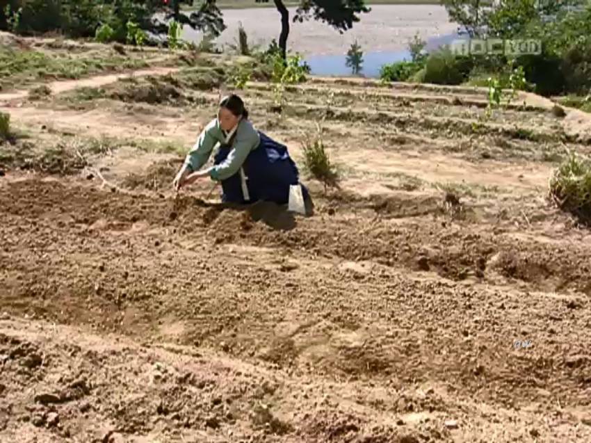 생존능력 쩔고 회복탄력성 미친 드라마 주인공.jpg | 인스티즈