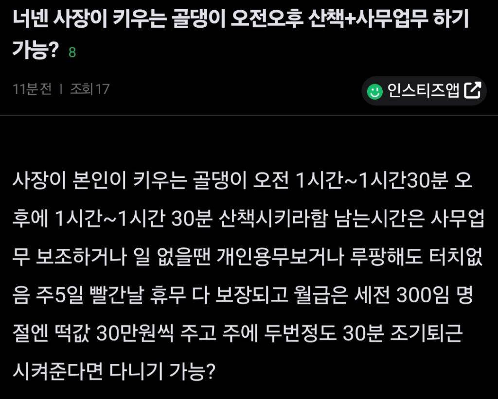 사장이 키우는 골댕이 오전오후 산책+사무업무하기 가능? | 인스티즈