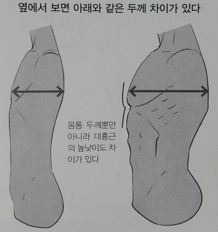 상세분석) 고릴라에게 개기면 안되는 이유 | 인스티즈