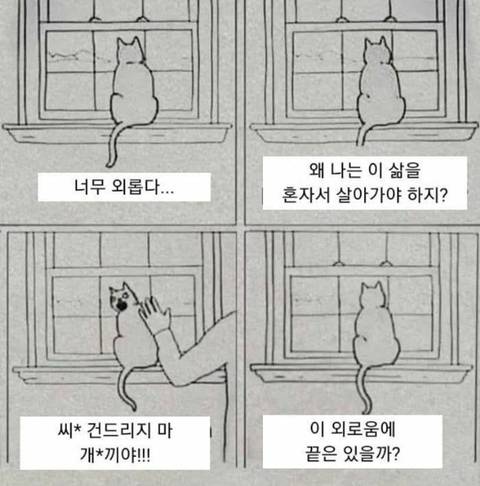 선 넘는 개그가 취향이라 참 난감하다 | 인스티즈