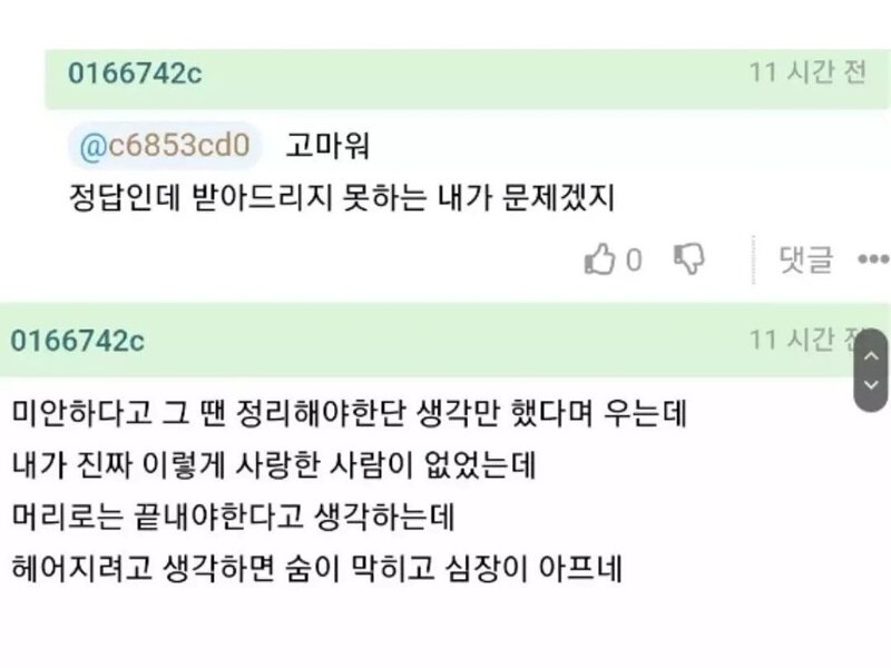 애인이 딴 남자랑 잤다는 글에 현자가 단 댓글 | 인스티즈