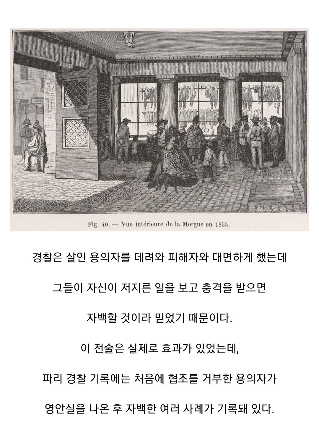 19세기 프랑스의 시체 관람 | 인스티즈