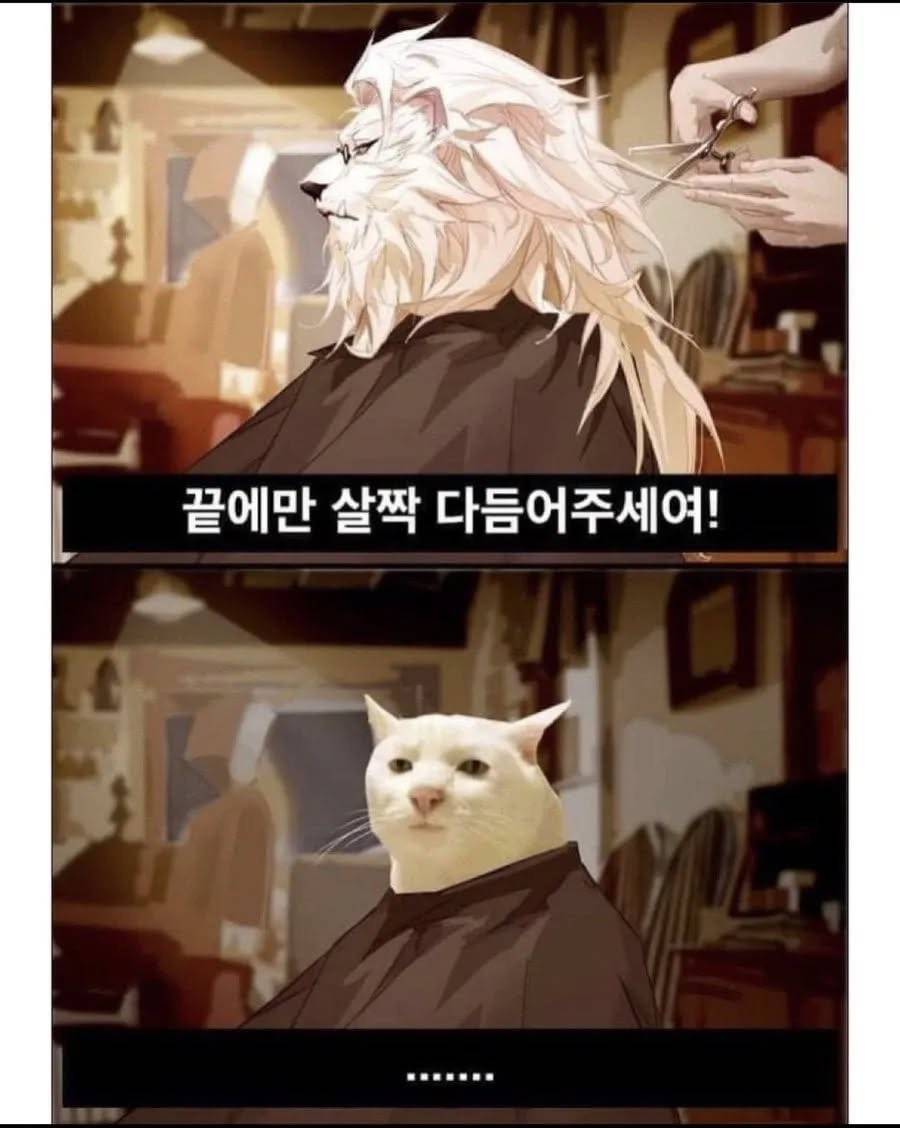 ??:조금만 다듬어 주세요.jpg | 인스티즈