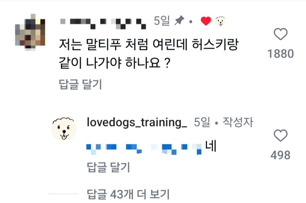 추운데 강아지 산책 나가야하나요? | 인스티즈