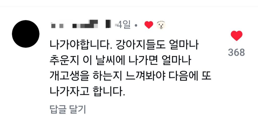 추운데 강아지 산책 나가야하나요? | 인스티즈