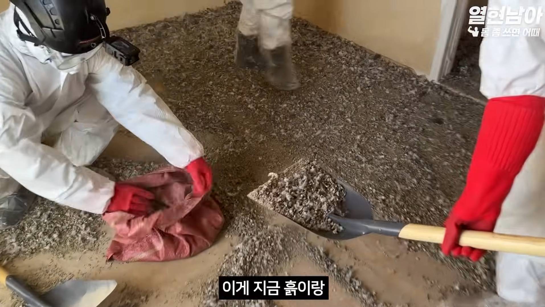 비둘기가 점령한 집 치우는 특수청소부들(더러움주의) | 인스티즈