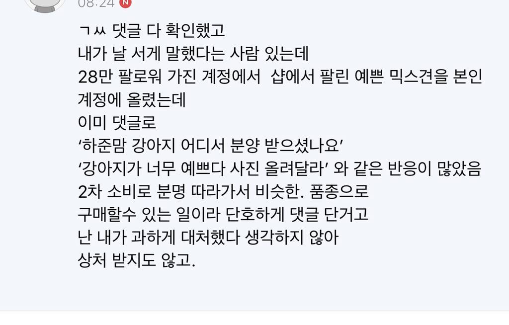 [공익목적] 하준맘 비글부부 펫샵 소비에 반대하는 댓글 달았다가 사이버 불링 당하고 아직 사과 듣지 못한 후기 | 인스티즈