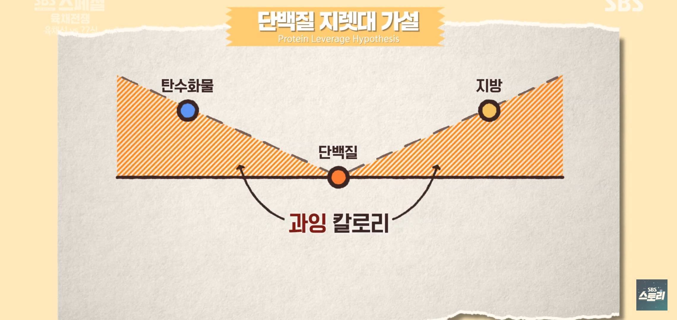 식이조절 하는 여시들은 참고하면 좋을.... 식욕을 조절하는 '단백질 지렛대'의 원리 | 인스티즈