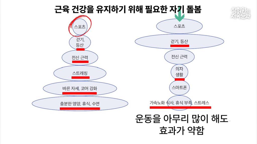 근육 건강에 운동보다 더 중요한 것들 | 인스티즈