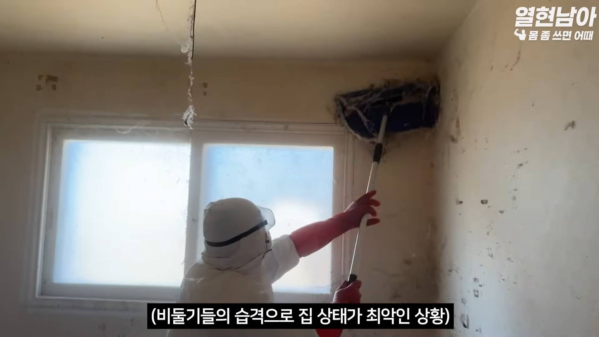 비둘기가 점령한 집 치우는 특수청소부들(더러움주의) | 인스티즈
