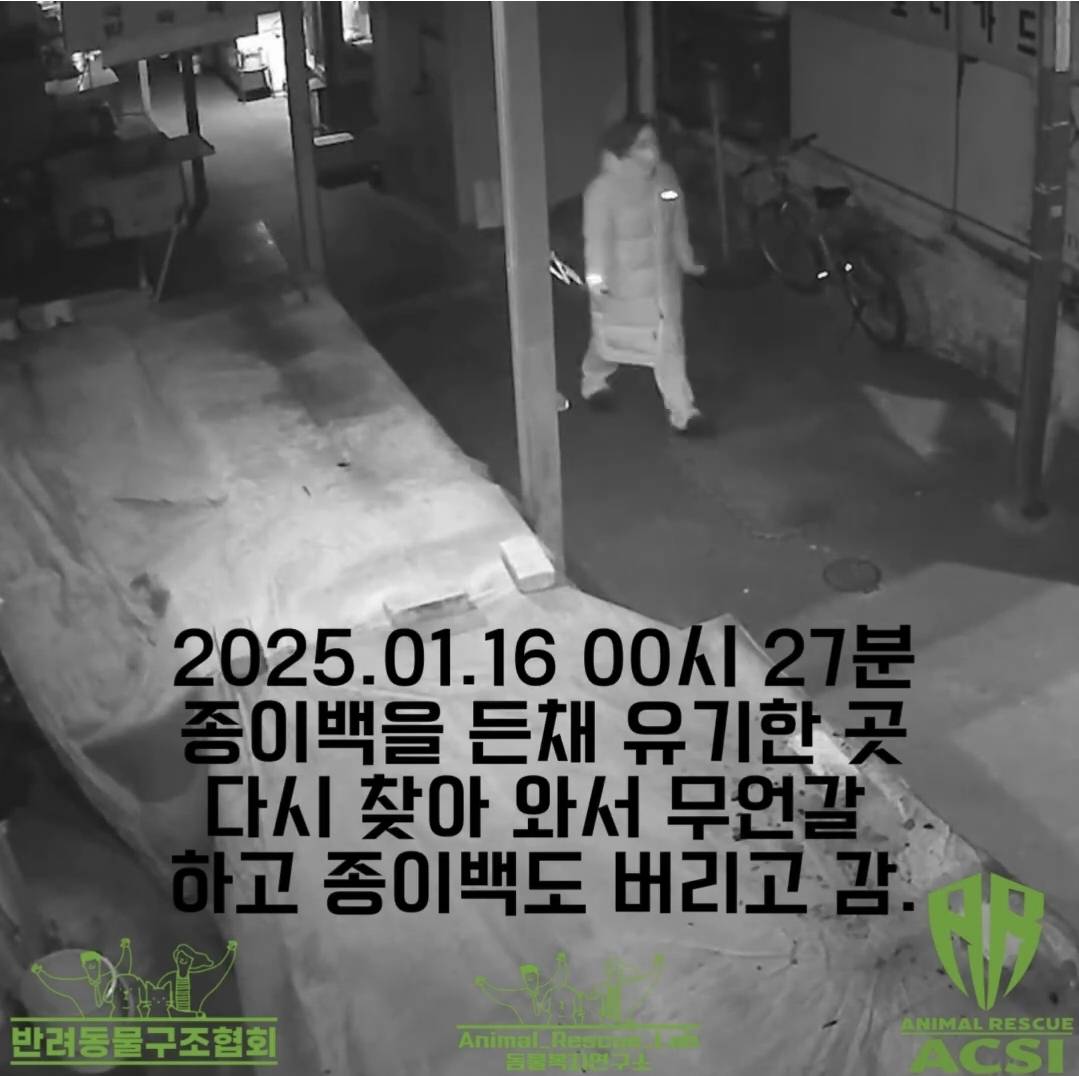 4~5개월령 아기 고양이 유기 현장 Cctv 영상 공개_경북 구미 | 인스티즈