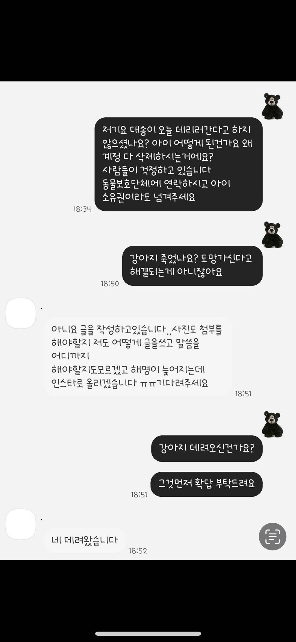 커뮤 핫플 시바견 파양 전시한 키즈모델 부모 답장옴 | 인스티즈