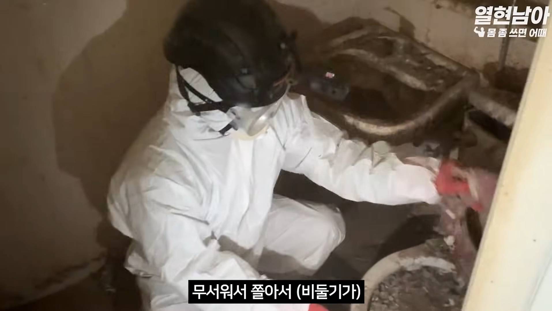비둘기가 점령한 집 치우는 특수청소부들(더러움주의) | 인스티즈