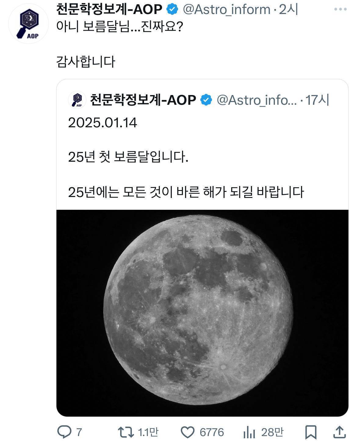 🎉윤석열 체포🎉 이 시국 트위터 모음.twt | 인스티즈