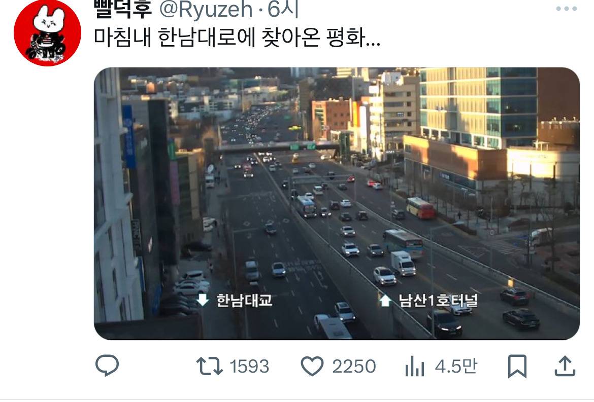 🎉윤석열 체포🎉 이 시국 트위터 모음.twt | 인스티즈