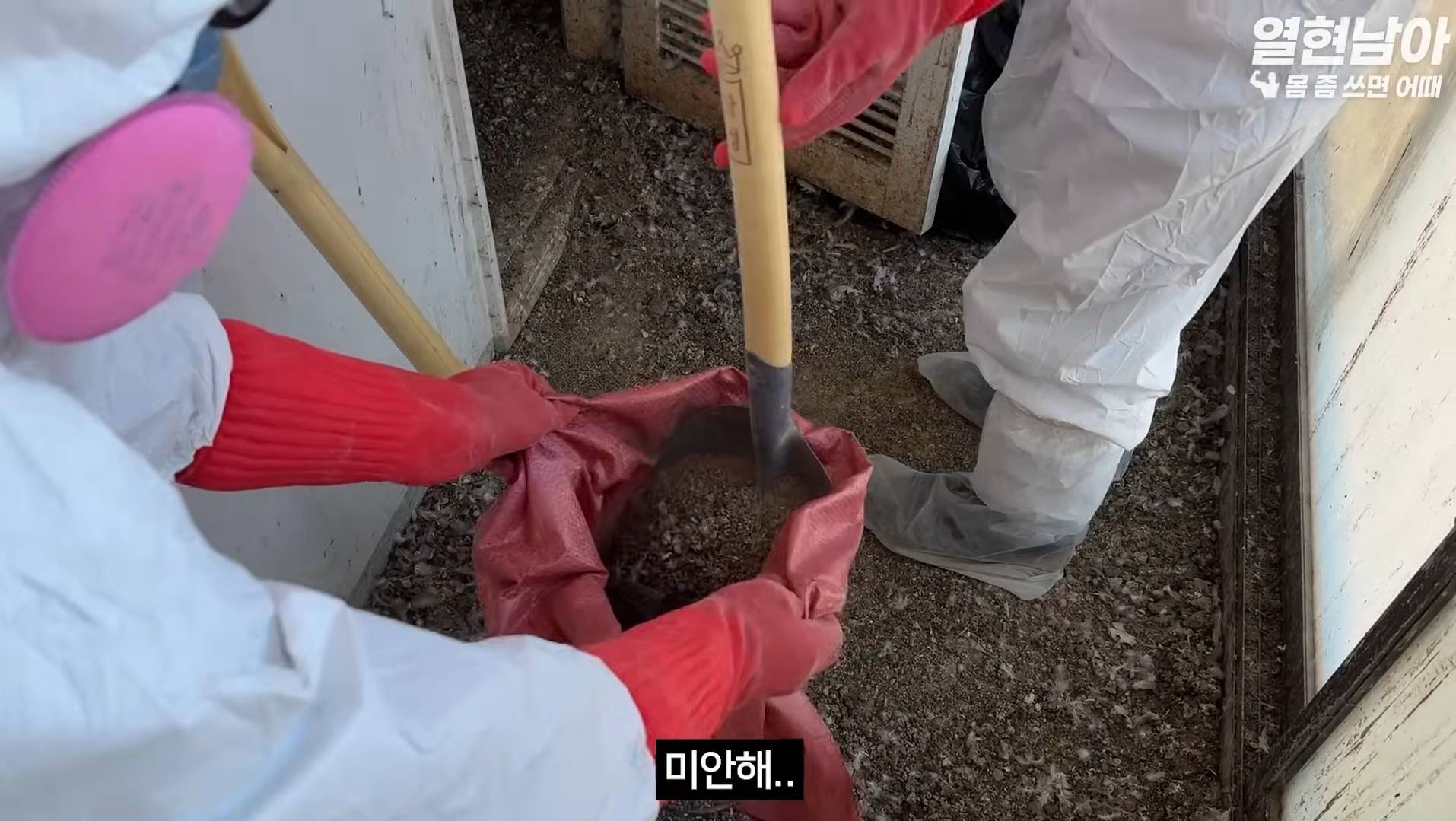 비둘기가 점령한 집 치우는 특수청소부들(더러움주의) | 인스티즈