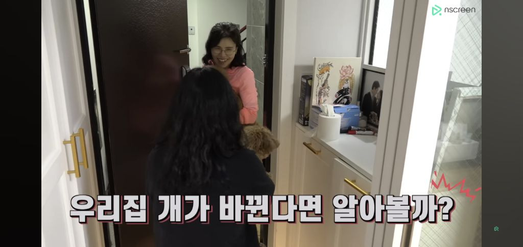 우리집 강아지가 바뀐다면 알아볼까? | 인스티즈