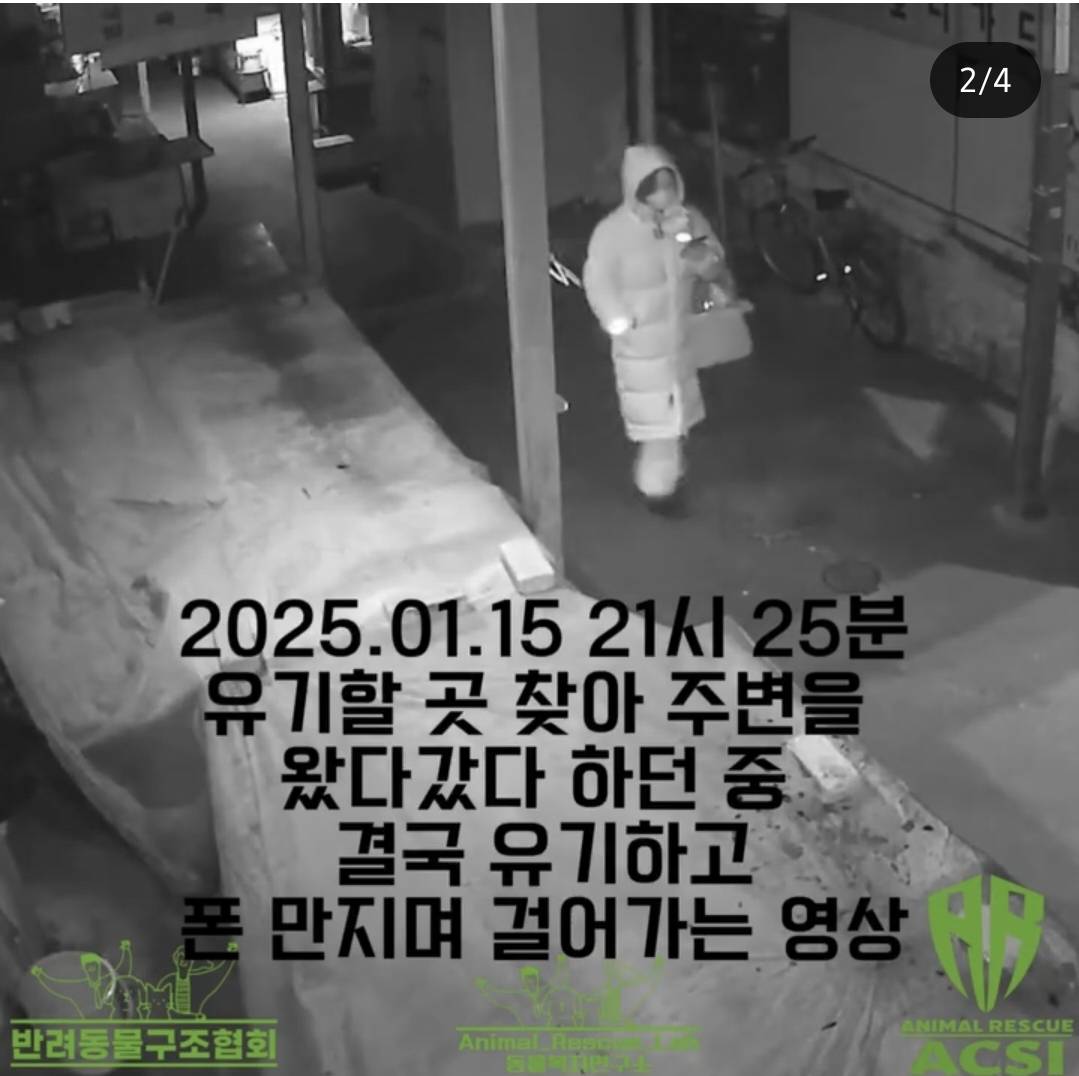 4~5개월령 아기 고양이 유기 현장 Cctv 영상 공개_경북 구미 | 인스티즈