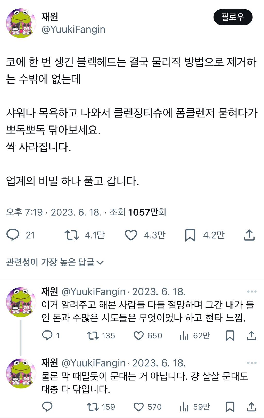 코에 한 번 생긴 블랙헤드는 결국 물리적 방법으로 제거하는 수밖에 없는데.twt | 인스티즈