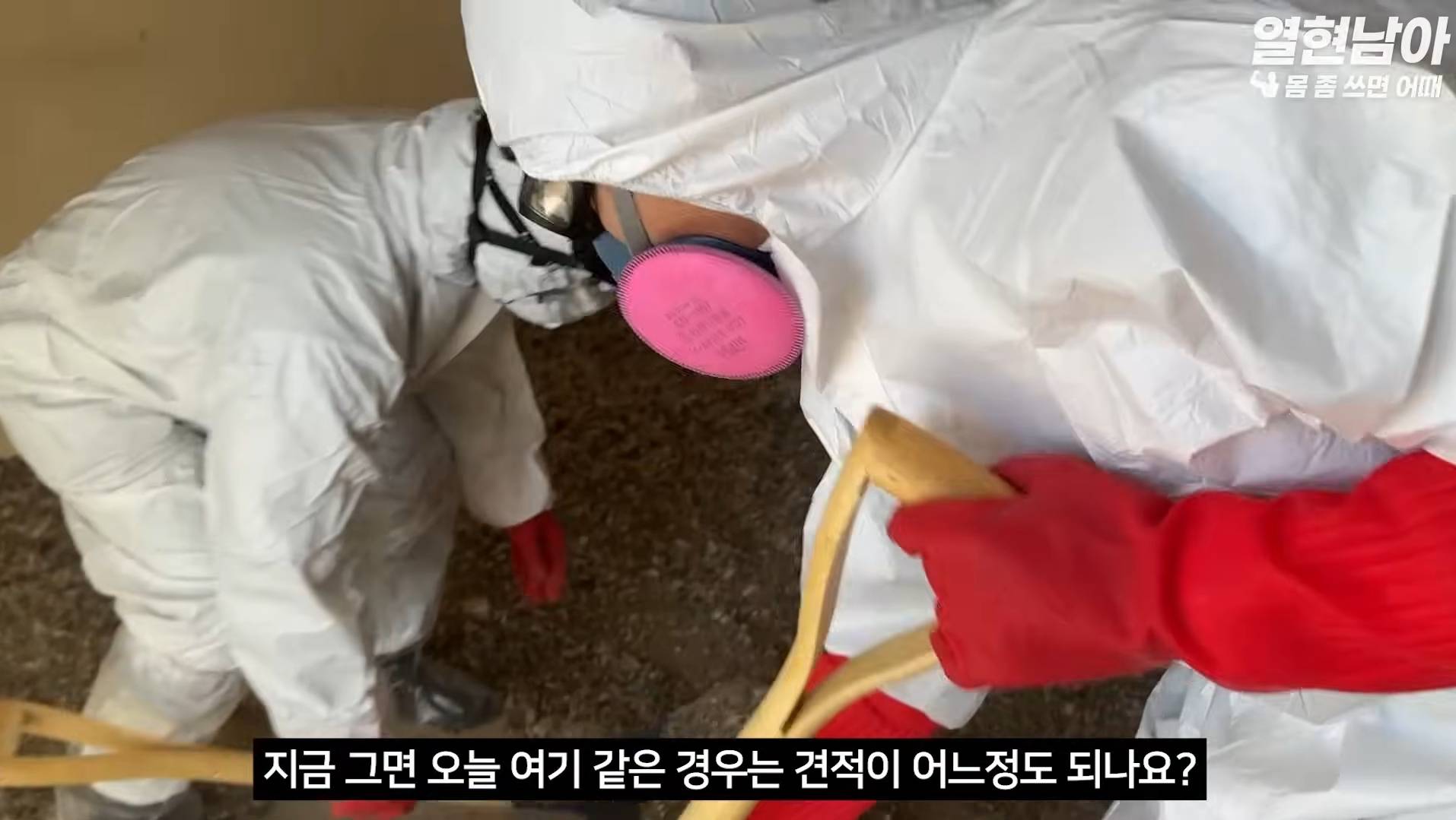 비둘기가 점령한 집 치우는 특수청소부들(더러움주의) | 인스티즈