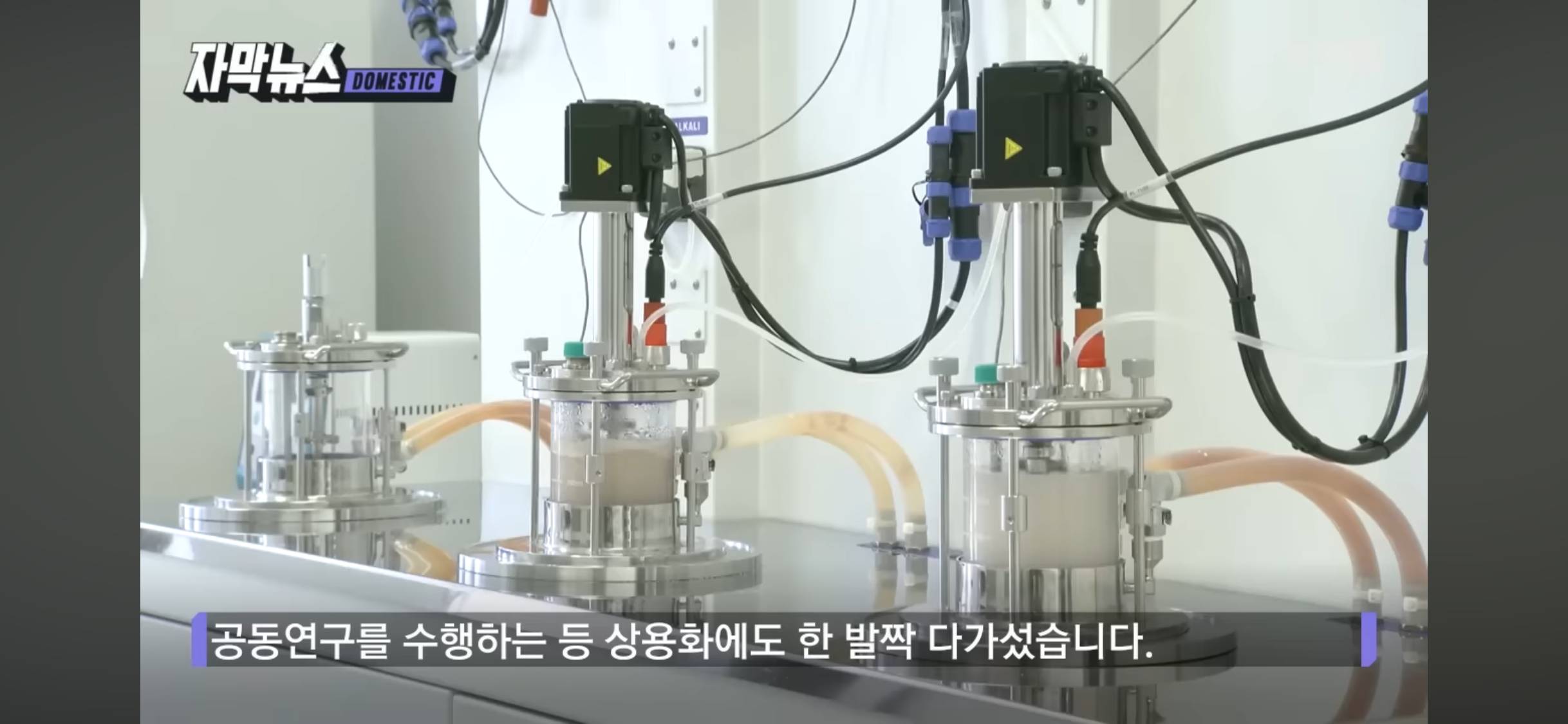 한국이 살 길은 R&D (플라스틱 분해 세계 최강 기술 개발) | 인스티즈