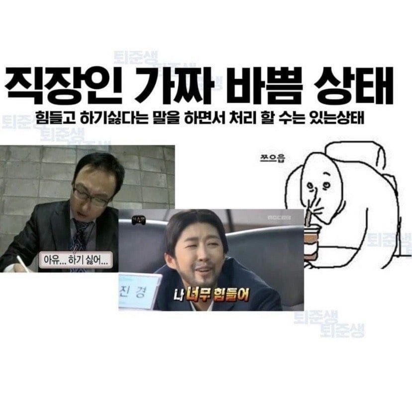 직장인들 가짜 바쁨 상태 vs 진짜 바쁨 상태 | 인스티즈