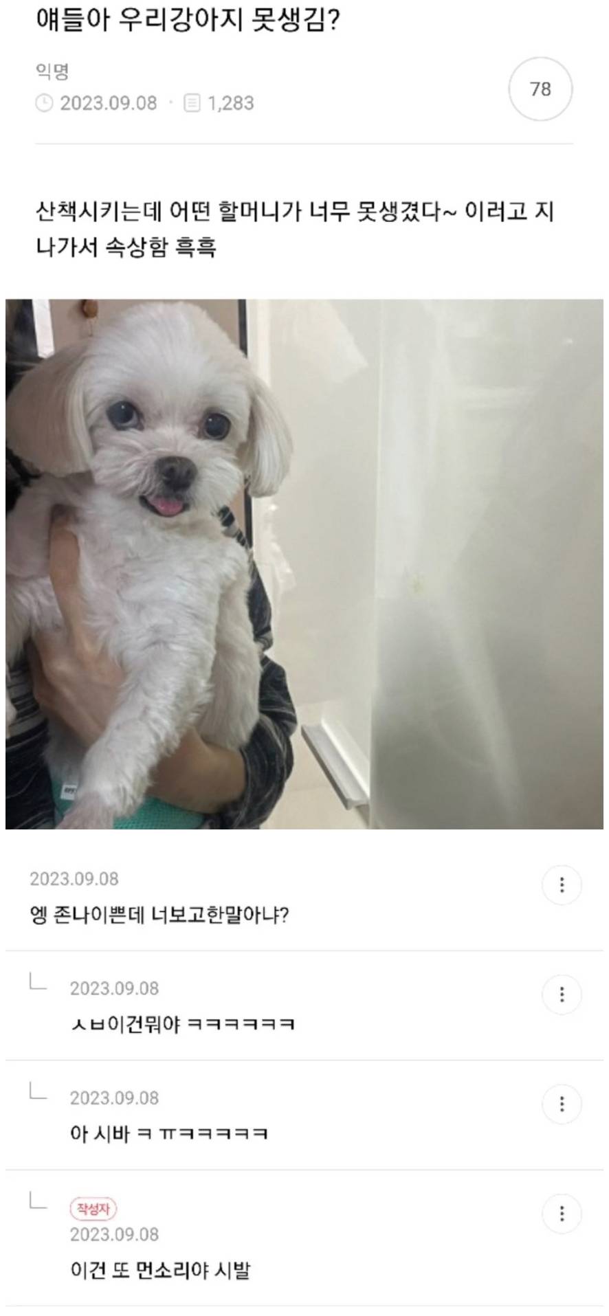 얘들아 우리 강아지 못생김? | 인스티즈