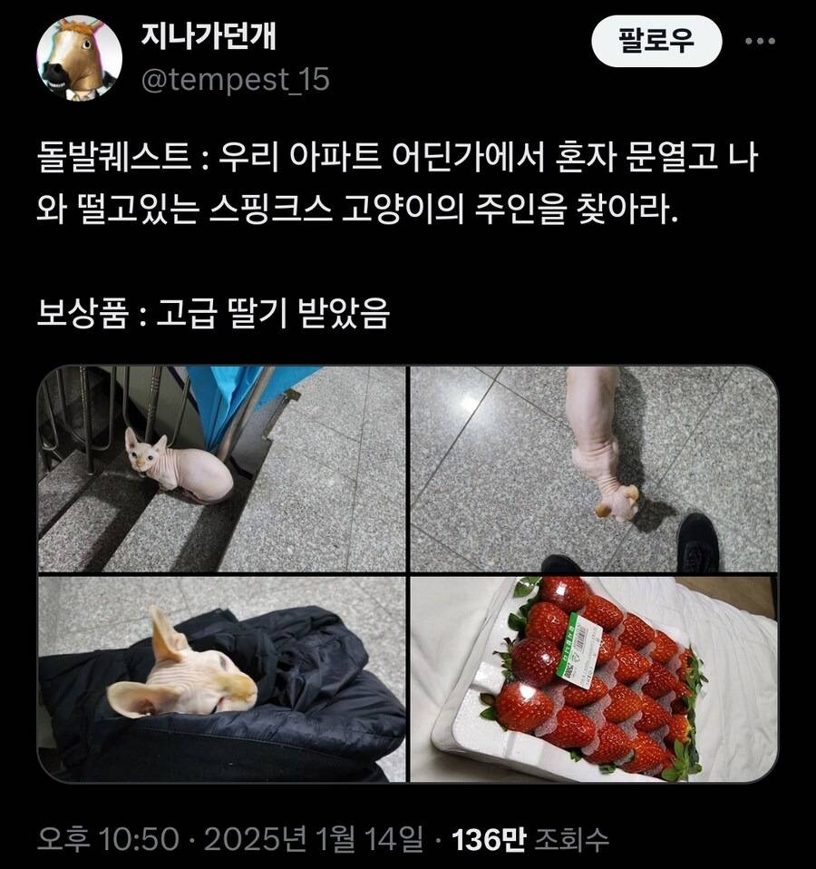 아파트에서 돌발 퀘스트 받은 사람 .jpg | 인스티즈