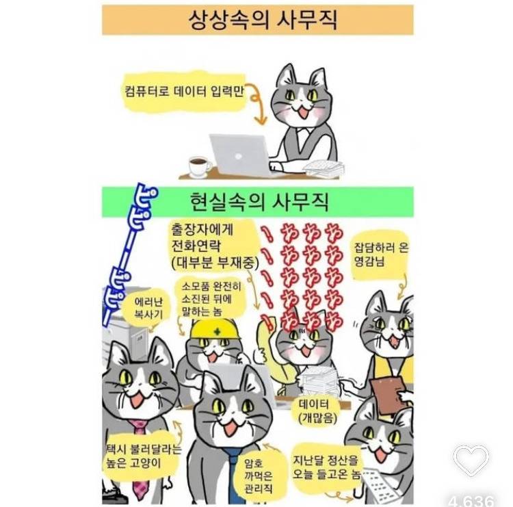 상상속 사무직 vs 현실 사무직 | 인스티즈