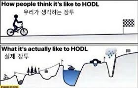 주식 초보를 위한 미국 지수추종 ETF 투자 전 알아두면 좋을 이야기 | 인스티즈