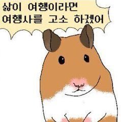 우리나라엔 왜 나르시시스트 엄마들이 많은지 궁금한 달글 | 인스티즈