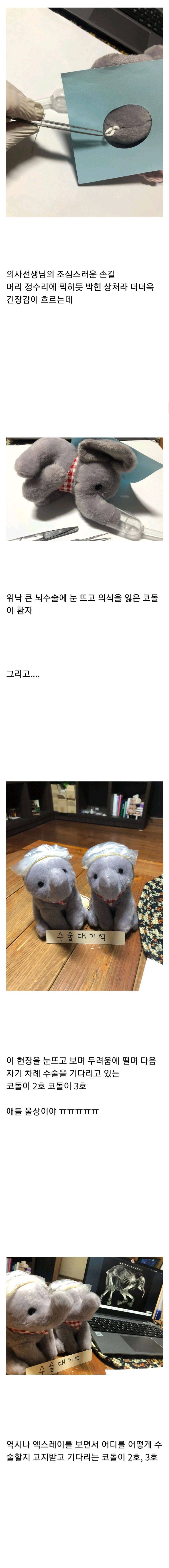 친언니가 직접 집도한 코끼리 인형 머리 수술 후기 | 인스티즈