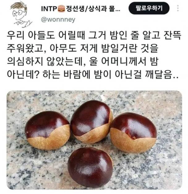 밤인 줄 알고 먹으면 큰일나는 밤같이 생긴 열매 | 인스티즈