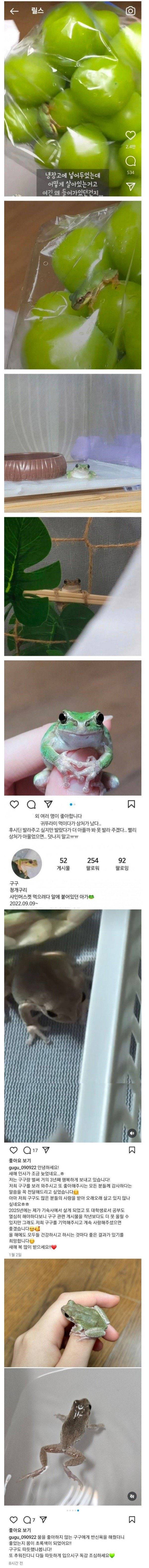 3년전 샤인 머스켓 샀는데 청개구리가 있어 키운 사람 근황 .jpg | 인스티즈