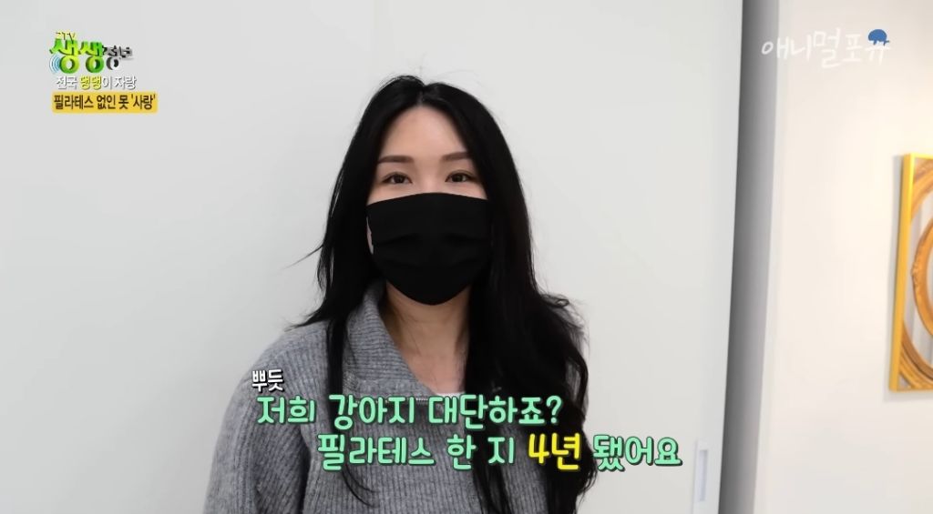 필라테스 하는 강아지 | 인스티즈