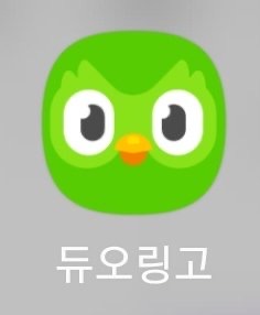 내 듀오링고 결국 뒤짐 | 인스티즈